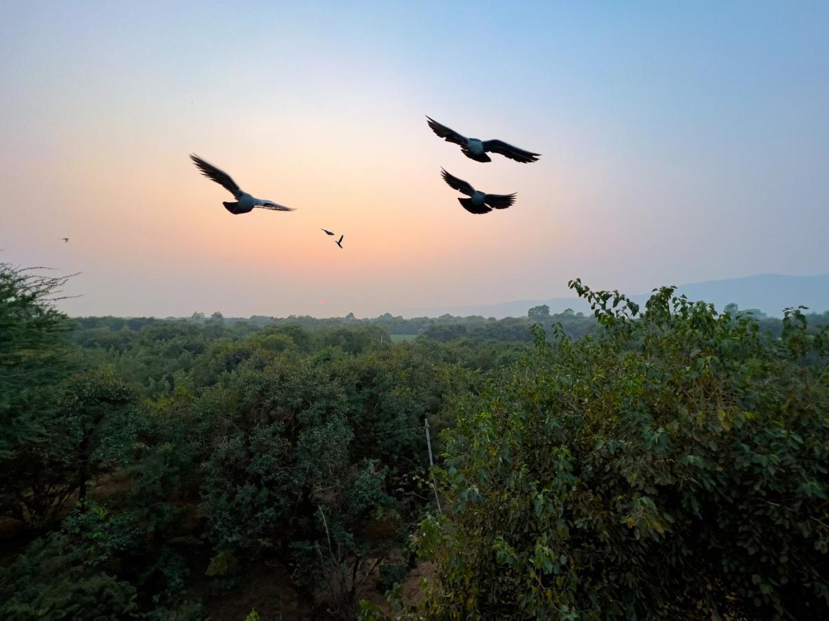 Joy Bagh Resort Pushkar Exterior foto